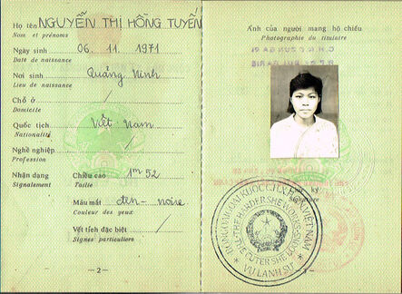 Soheila Sokhanvari, ‘Vietnamese passport’, 2010