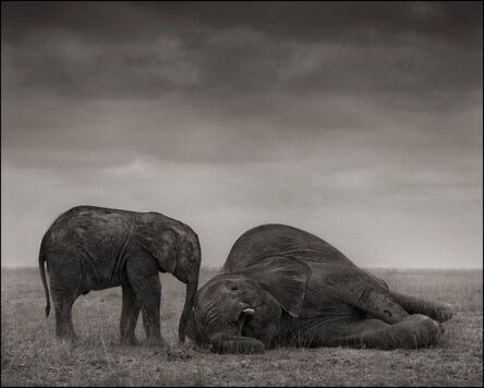 Nick Brandt, ‘The Two Elephants, Amboseli, 2012’, 2012