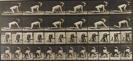 Eadweard Muybridge, ‘Animal Locomotion’, 1886