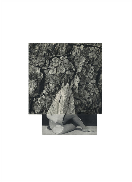 Cecilia Bonilla, ‘Between Animals and Trees 32’, 2021