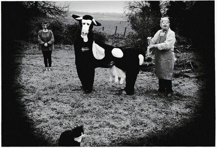 Peter Finnemore, ‘Mad About the Cow’, 2001