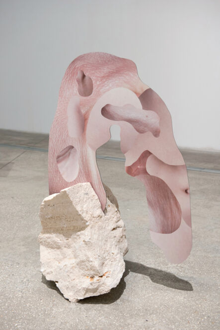 Rachel de Joode, ‘Human Skin In Rock V’, 2015