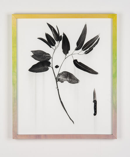 Paul Jacobsen, ‘Eucalyptus and Knife’, 2020