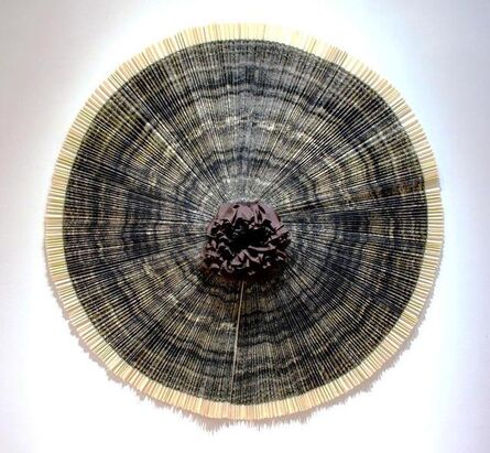 Ann Hamilton, ‘ciliary’, 2010