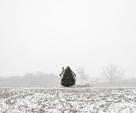 Tamas Dezso, ‘Tree and House (West Hungary, 2011)’, 2011