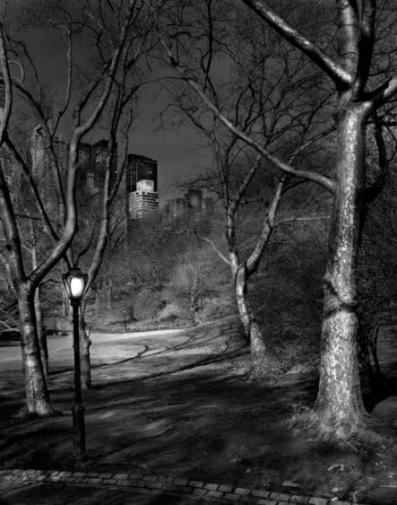 Michael Massaia, ‘Deep in A Dream - Central Park - 4am London Plane Trees’, 2009