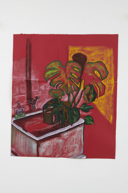 Christabel MacGreevy, ‘Cheese Plant Having A Drink In The Studio Sink,’, 2018