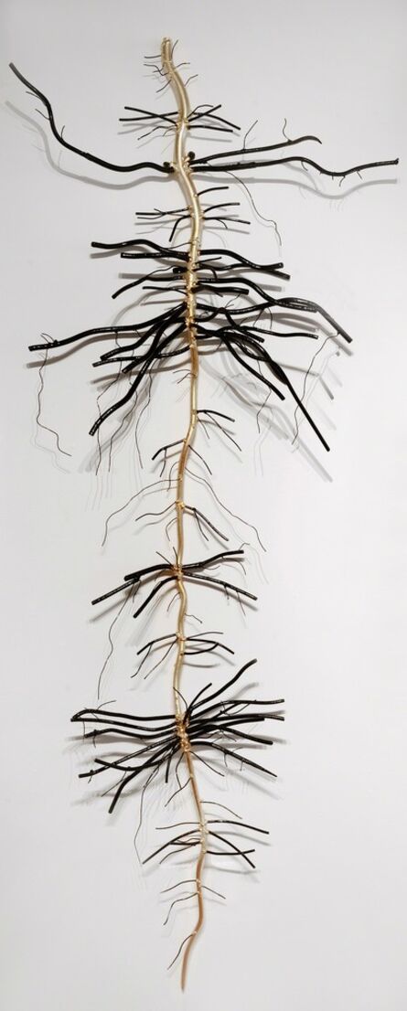 Dalya Luttwak, ‘Root of Sugar Beet’, 2014