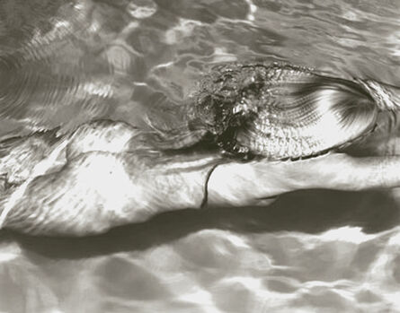 Michael Dweck, ‘Mermaid 01’, 2005