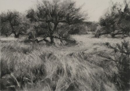 Connie Hayes, ‘Orchard #9’