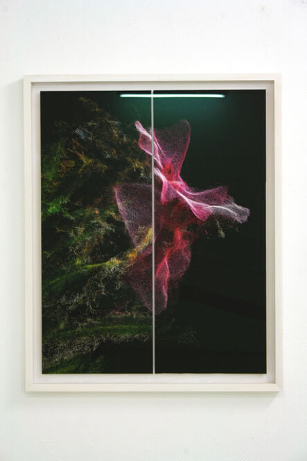 Stefano Caimi, ‘Phytosynthesis - Nerium oleander Jannoch’, 2019