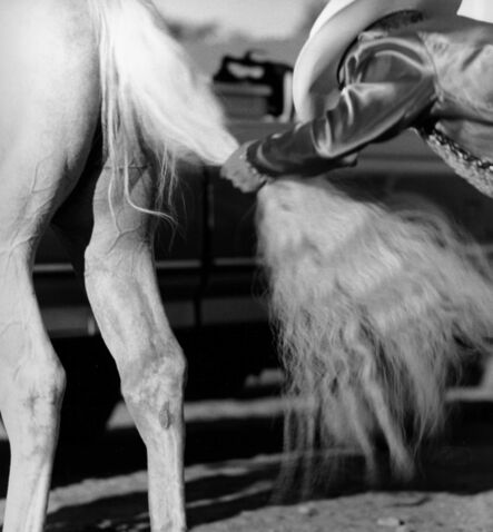 Kristin Capp, ‘Horse Tail, Moses Lake, Washington’, 1995