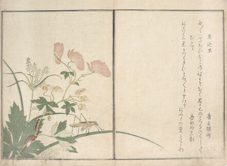 Kitagawa Utamaro, ‘Katydid and Centipede’, 1788