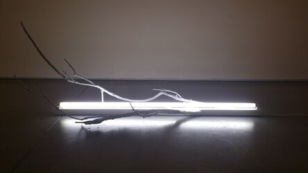 Bernardí Roig, ‘Exercise lights’, 2013