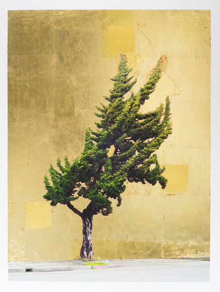 Daniel Ballesteros, ‘Gold Leaf Tree No. 117’, 2019