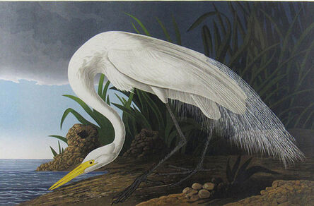 John James Audubon, ‘Great Egret’, ca. 1987