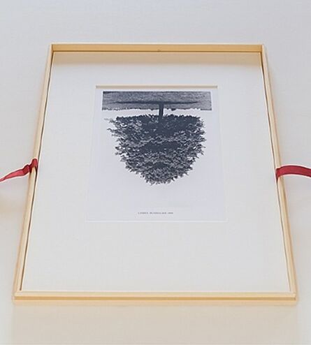 Rodney Graham, ‘Flanders Trees’, 1990