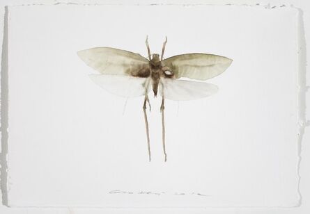 Guo Hongwei 郭鸿蔚, ‘Painting is Collecting - Insect #7’, 2012