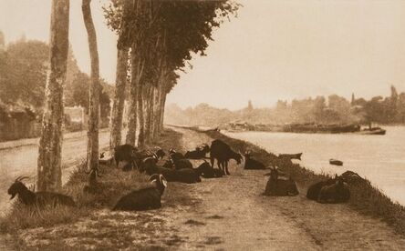 Alfred Stieglitz, ‘Pastoral Landscape with Goats (On the Seine, Near Paris)’, 1897