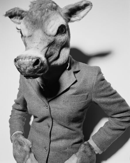 Rankin, ‘Suited Cow’, 2001