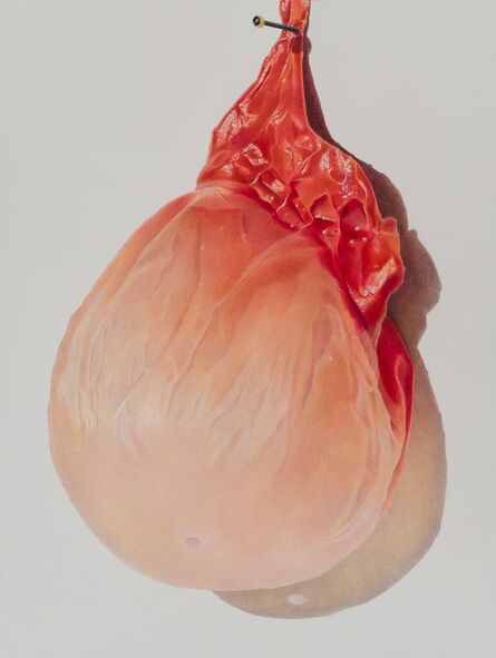 Julia Randall, ‘Pinned Apricot’, 2013