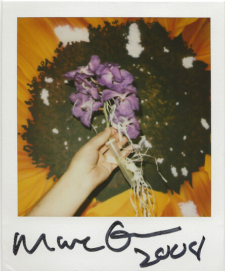 Marc Quinn, ‘Flower’, 2008