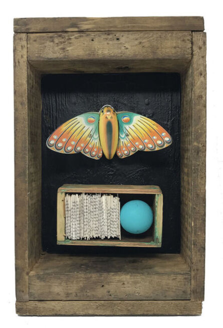 Robin Howard, ‘Butterfly Box 1’, 2019