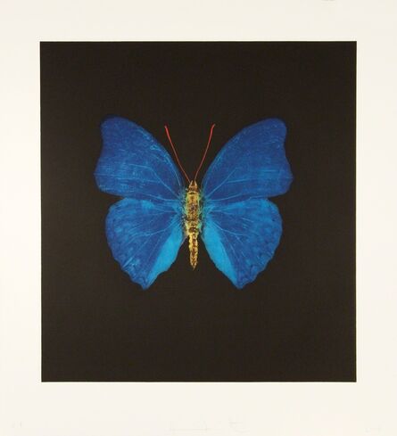 Damien Hirst, ‘The Souls on Jacob's Ladder Take Their Flight (Blue/Yellow)’, 2008