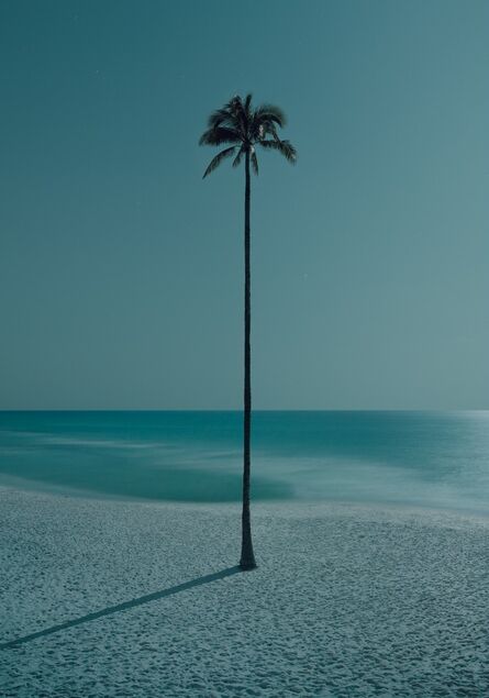 Dean West, ‘Palma de la Noche (Palm of the Night)’, 2021