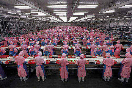 Edward Burtynsky, ‘Manufacturing #17, Deda Chicken Processing Plant, Dehui City, Jilin Province, China’, 2005