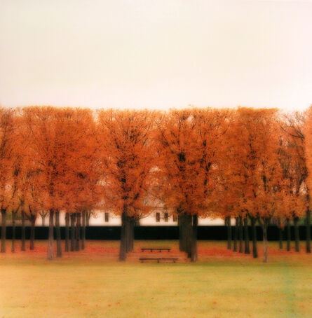 Lynn Geesaman, ‘Parc de Sceaux, France (10-08-39c-3)’, 2008