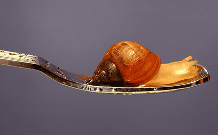 Young-Sung Kim, ‘Nothing.Life.Object (Snail on Spoon)’, 2015
