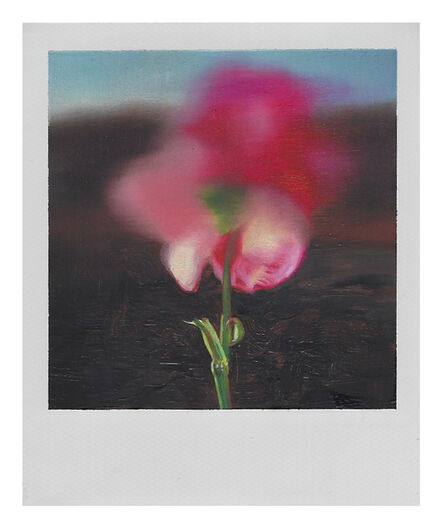 Martí Cormand, ‘Dad's pink Flower’, 2019