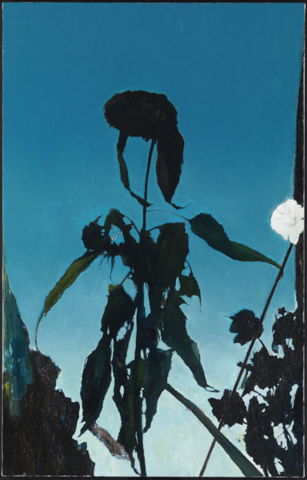 Glenn Sorensen, ‘Sunflower’, 2013-2014