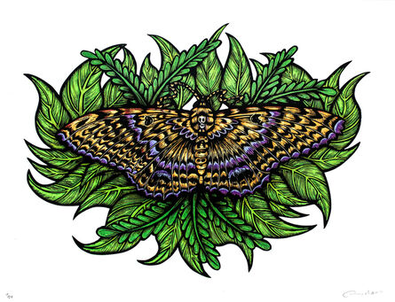 Dennis McNett, ‘Black Witch Moth (Silkscreen Print)’, 2016