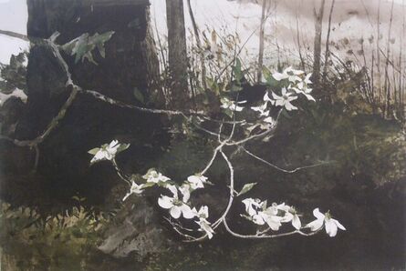 Andrew Wyeth, ‘Dogwood #235’, 1983