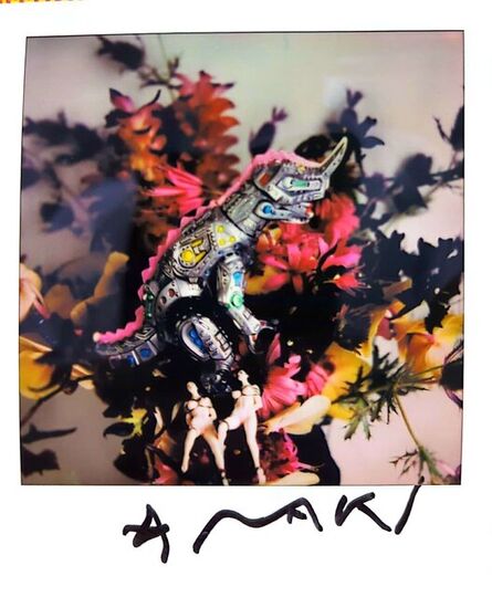 Nobuyoshi Araki, ‘UNTITLED 10’, 1995