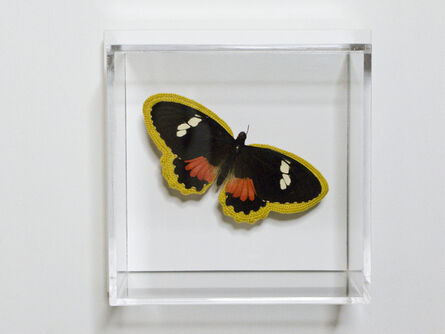 Esther Traugot, ‘Black White Red Butterfly’, 2020