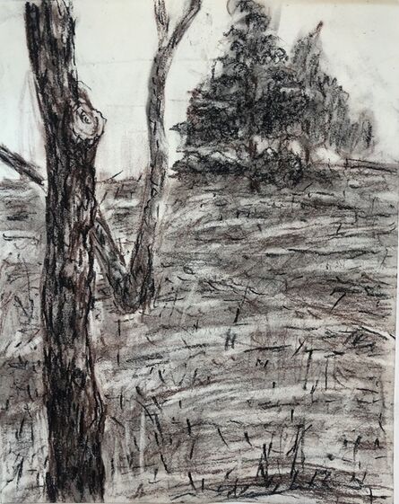 Anne Delaney, ‘Three Trees on a Hill’, 2021