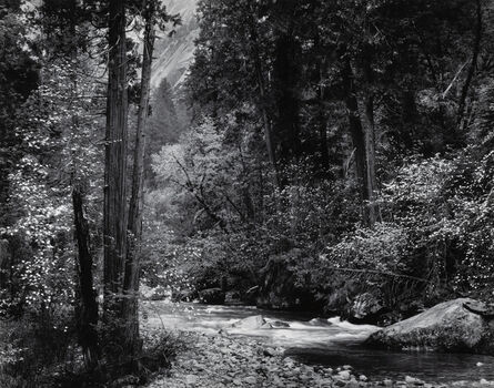 Ansel Adams, ‘Tenaya Creek, Dogwoods, Spring Rain’, 1948