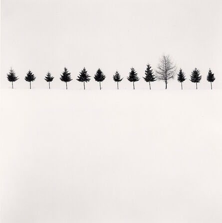 Michael Kenna, ‘Line of Trees, Biei, Hokkaido, Japan’, 2012