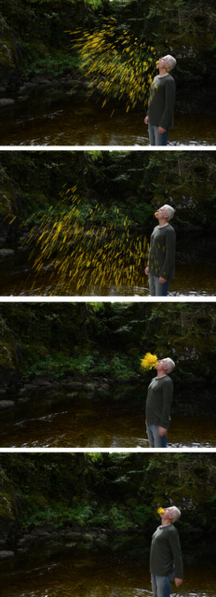 Andy Goldsworthy, ‘Gorse spits, sunny, Dumfriesshire, Scotland, 30 May 2015’, 2015