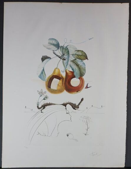 Salvador Dalí, ‘FlorDali/Les Fruits Fruit With Holes ’, 1969