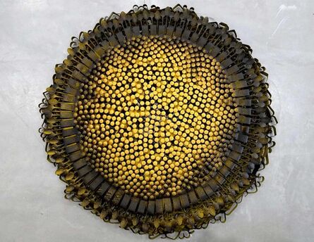 Olu Amoda, ‘Medium Sunflower II ’, 2014