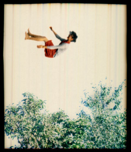 Elijah Gowin, ‘Falling in Trees 1’, 2006