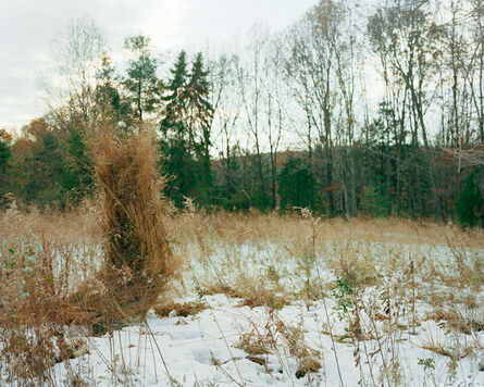 Jeremy Chandler, ‘Ghillie Suit (Weeds)’, 2013