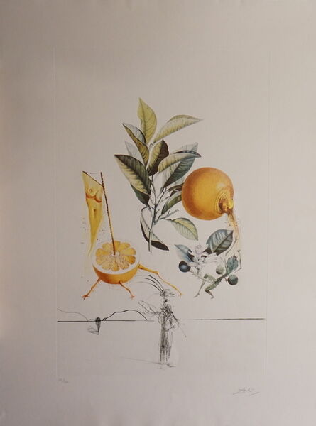 Salvador Dalí, ‘FLorDali/Les Fruits Grapefruit’, 1969