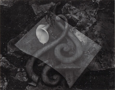 Edward Weston, ‘Glass and Lily’, Neg. date: 1939 / Print date: Later