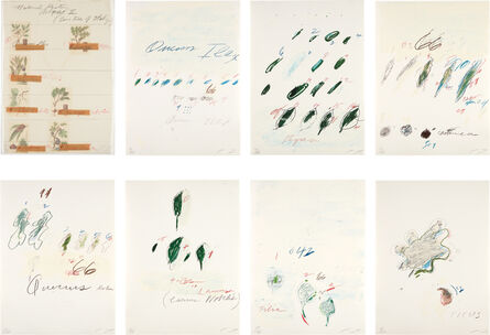 Cy Twombly, ‘Natural History Part II: Some Trees of Italy’, 1975-76