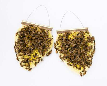 Tom Muir, ‘Beekeeper Earrings’, 2019